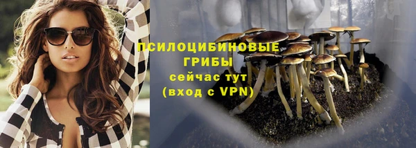 меф Богородицк
