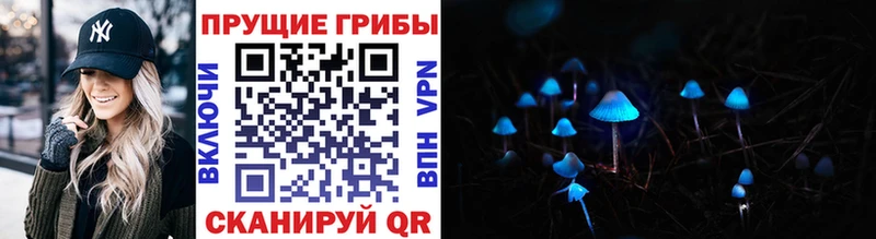Галлюциногенные грибы мицелий  Купить закладки  Белозерск 